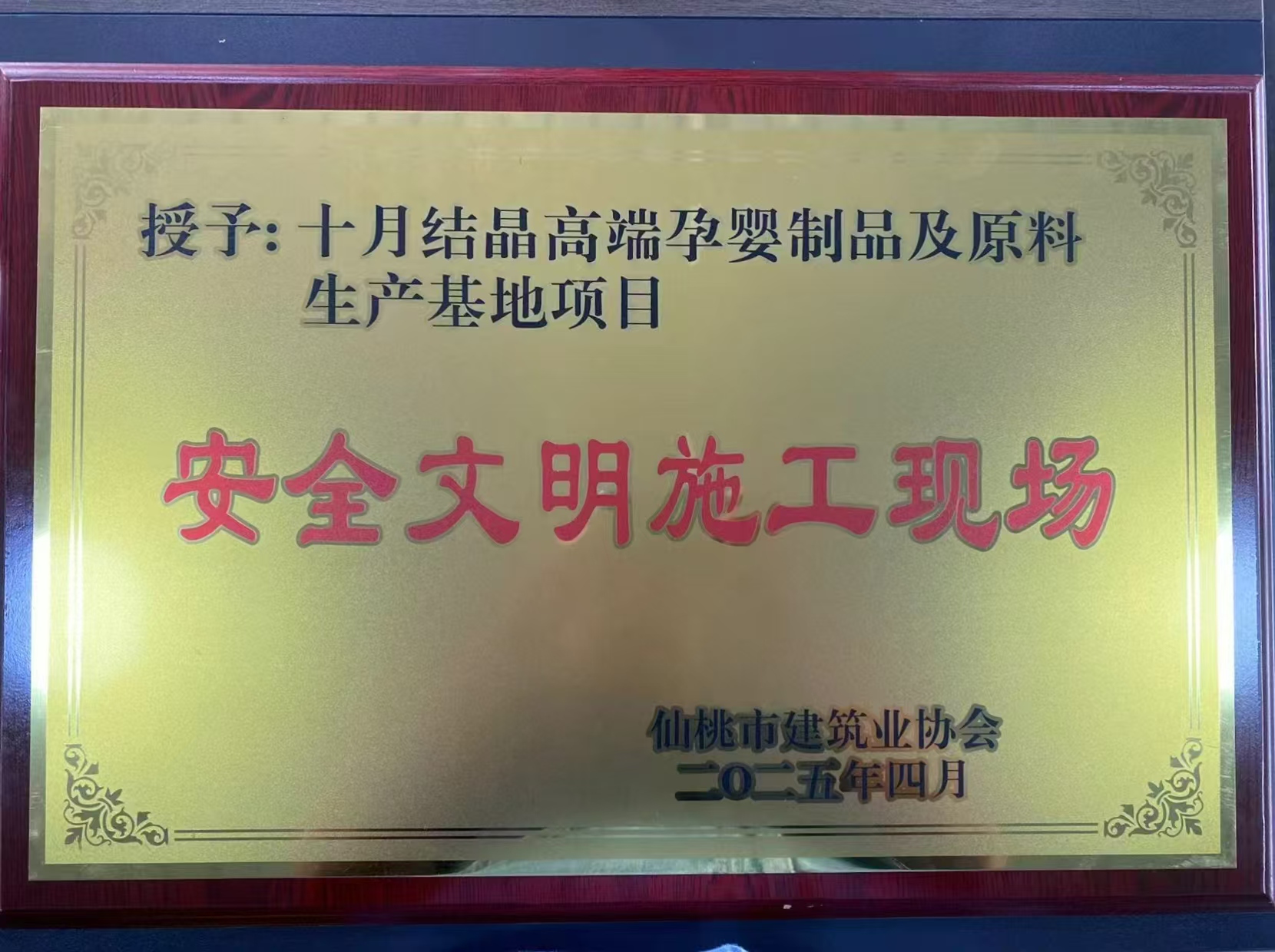 十月结晶文明工地.jpg