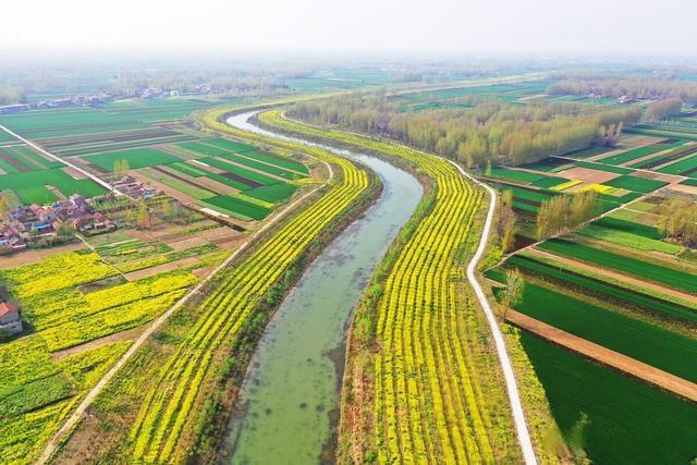 利辛县2023年度耕地提质改造工程（旱改水）施工监理（二次）第1标段